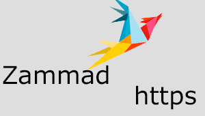Zammad по https, nginx, ssl, tls